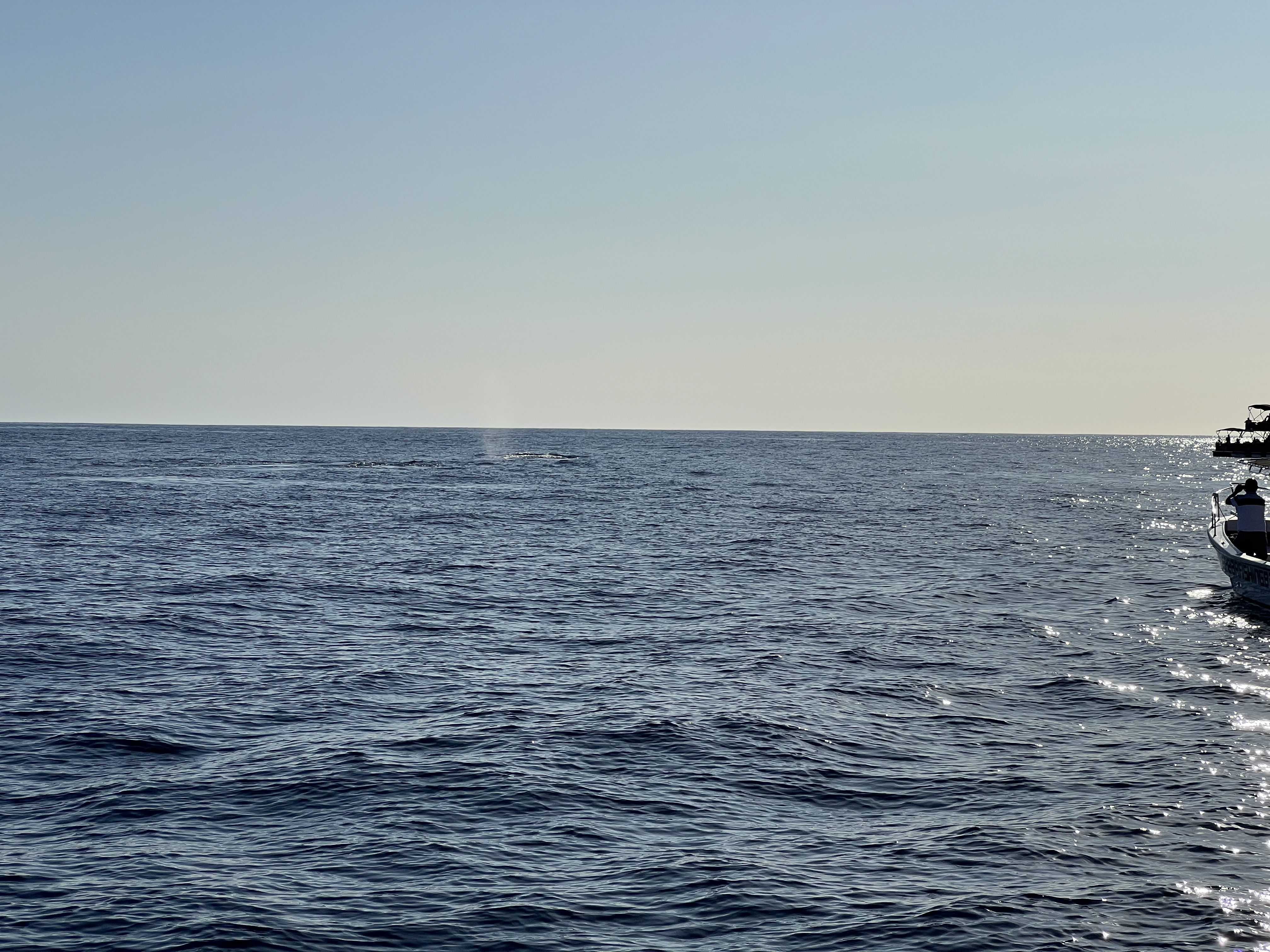 ./2024/13 - Cabo/IMG_4678.jpg